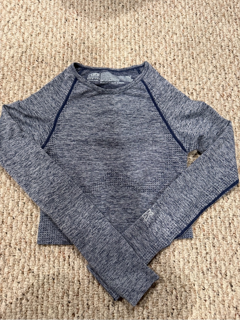 Victoria’s Secret PINK active blue long sleeve crop top